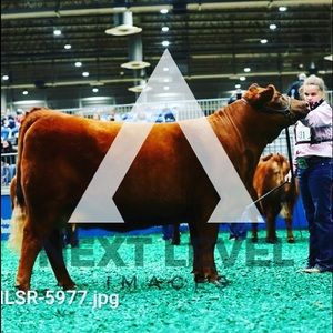 Meet your Posher, Kaydee